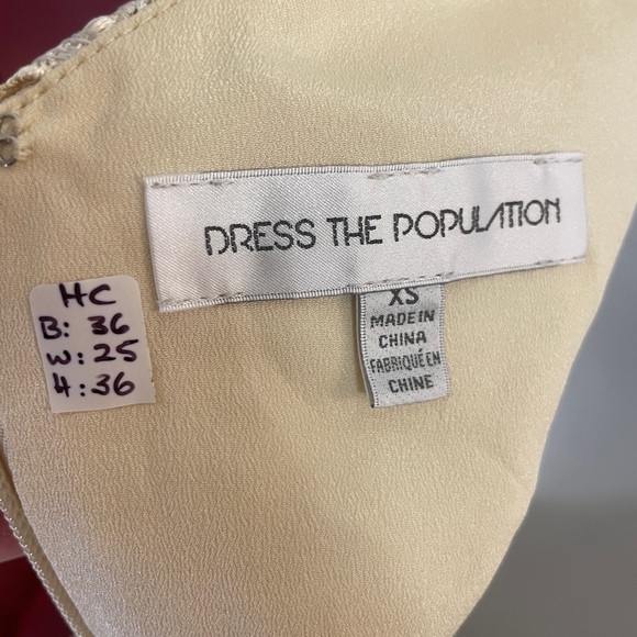 Dress the Population Cream Lace Overlay XS Dress - Picture 5 of 6